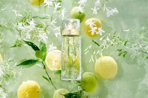 perfumes citricos para comprar